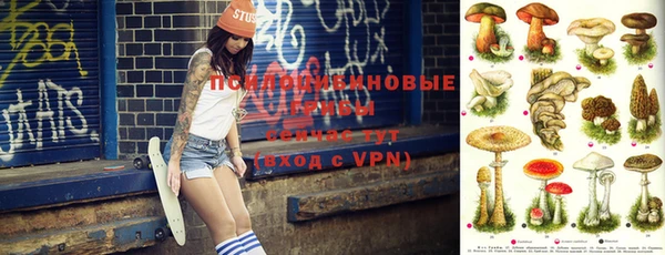 прущие крисы Карпинск