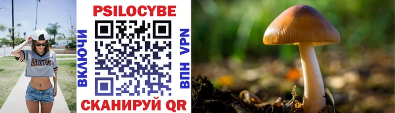 Купить закладки  Домодедово  Псилоцибиновые грибы Psilocybine cubensis 